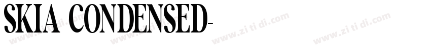 SKIA CONDENSED字体转换